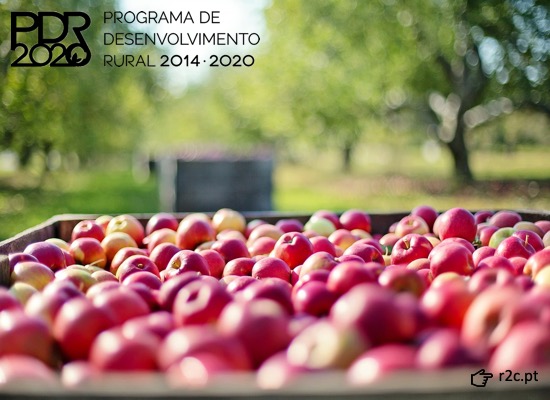 PDR 2020: candidaturas abertas